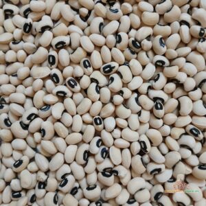 Mangalore Alasande White Cow Peas