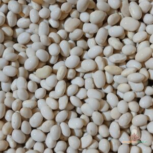 Mangalore Tingalavare White Navy Beans