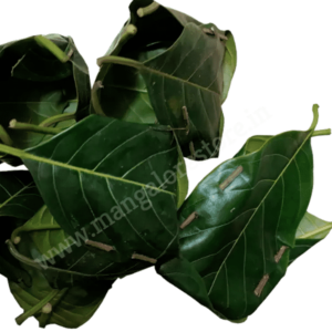 Buy pack of 5 Khotto, Gunda, Khotte Leaves online